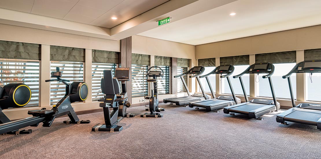 Saga Spirit of Discovery Gym.jpg